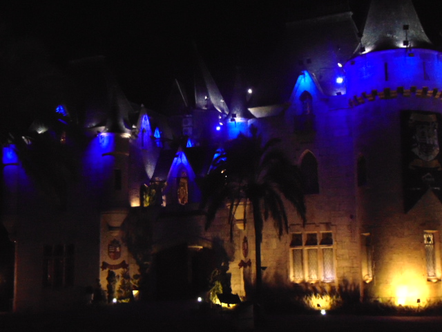 Image of the castle at nighttime that is a beautiful site with a touch of romance.